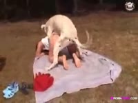 Outdoor dog sex with kinky petite slut